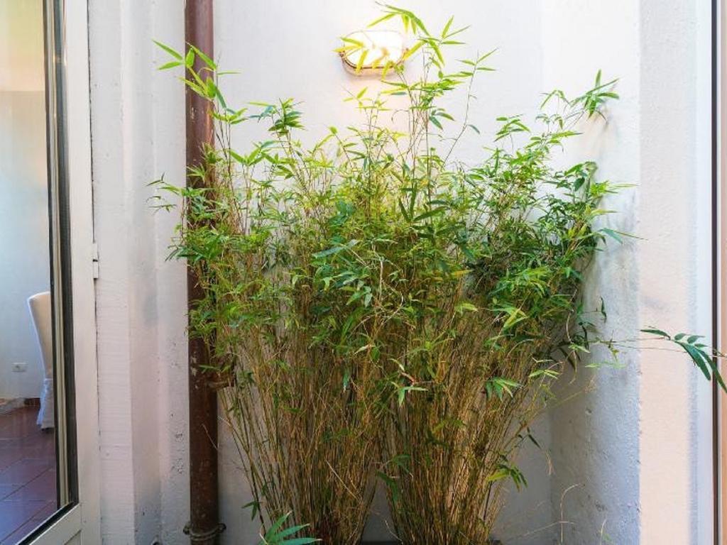 Garibaldi Roof Garden Apartment Roma Exterior foto